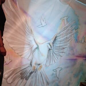 9ft by 12ft Dove backdrop with sky background.